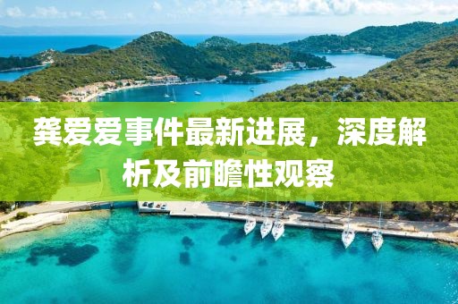 龔愛愛事件最新進展，深度解析及前瞻性觀察