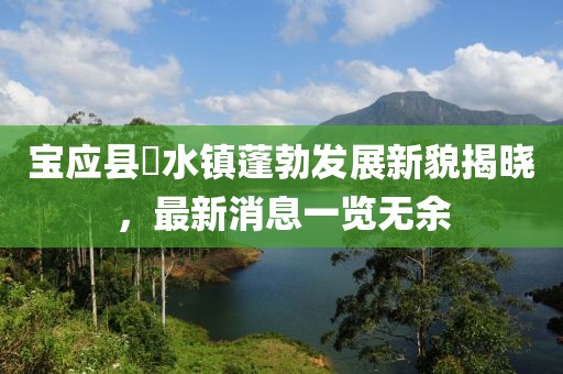 狙擊你的心 第4頁(yè)