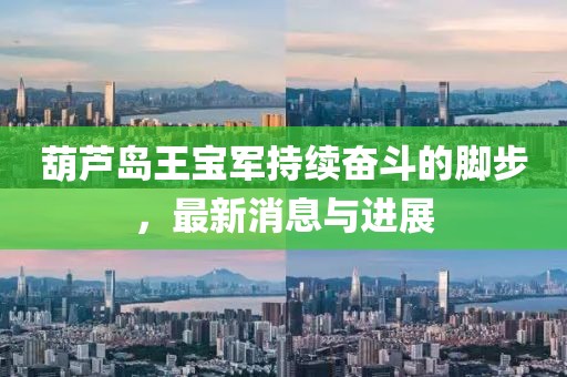 葫蘆島王寶軍持續(xù)奮斗的腳步，最新消息與進展