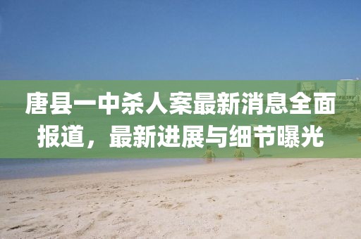 唐縣一中殺人案最新消息全面報(bào)道，最新進(jìn)展與細(xì)節(jié)曝光