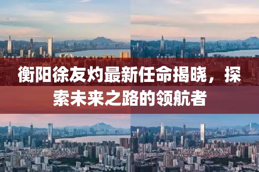 衡陽徐友灼最新任命揭曉，探索未來之路的領(lǐng)航者