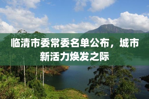 臨清市委常委名單公布，城市新活力煥發(fā)之際