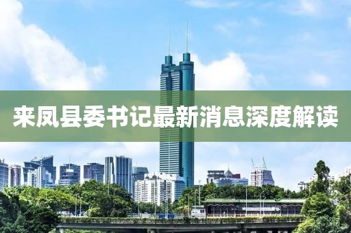 來鳳縣委書記最新消息深度解讀