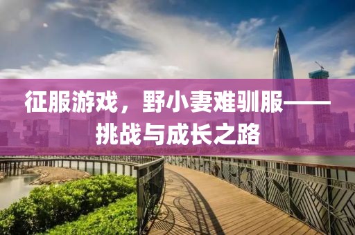 征服游戲，野小妻難馴服——挑戰(zhàn)與成長之路