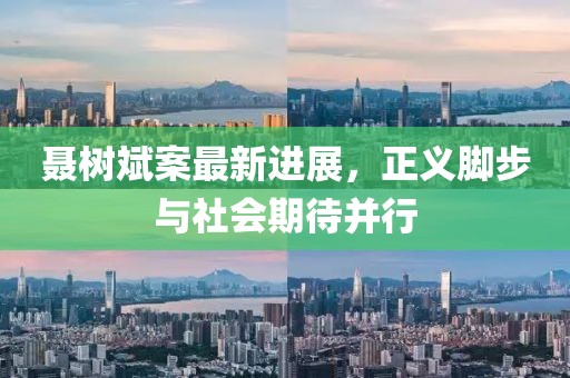 聶樹斌案最新進(jìn)展，正義腳步與社會(huì)期待并行