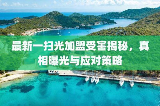 最新一掃光加盟受害揭秘，真相曝光與應(yīng)對(duì)策略