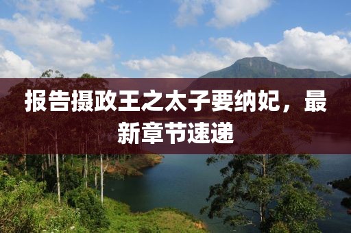 報告攝政王之太子要納妃，最新章節(jié)速遞
