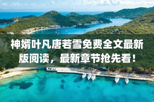 神婿葉凡唐若雪免費全文最新版閱讀，最新章節(jié)搶先看！