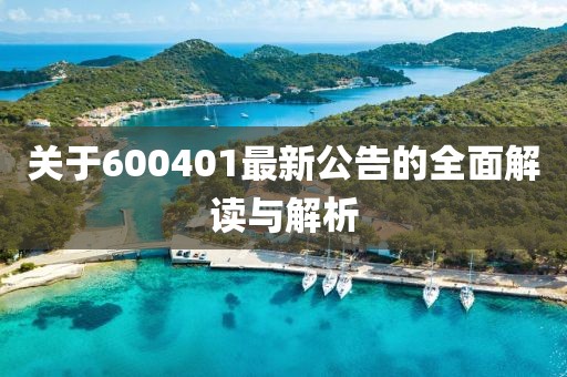 關(guān)于600401最新公告的全面解讀與解析