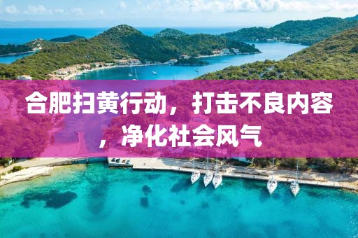 合肥掃黃行動，打擊不良內容，凈化社會風氣