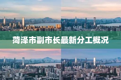 菏澤市副市長最新分工概況