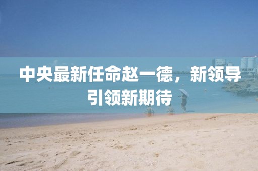 中央最新任命趙一德，新領(lǐng)導(dǎo)引領(lǐng)新期待