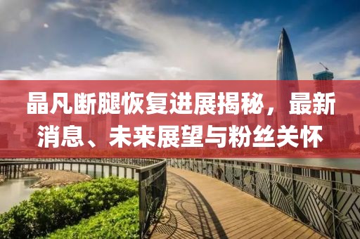 晶凡斷腿恢復(fù)進(jìn)展揭秘，最新消息、未來展望與粉絲關(guān)懷