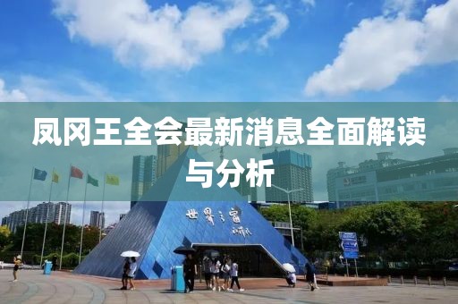 鳳岡王全會最新消息全面解讀與分析