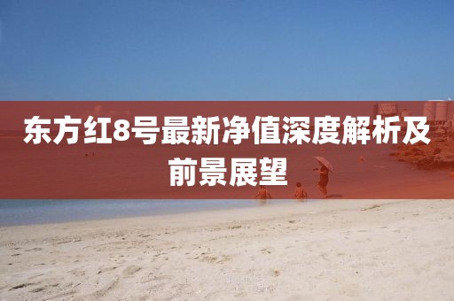 東方紅8號最新凈值深度解析及前景展望