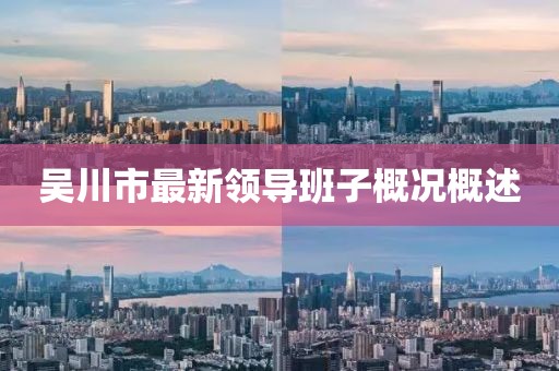 吳川市最新領導班子概況概述