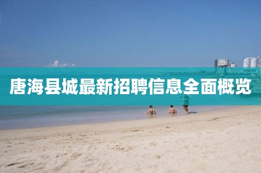 唐?？h城最新招聘信息全面概覽