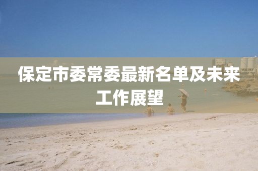 保定市委常委最新名單及未來工作展望