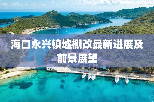 海口永興鎮(zhèn)墟棚改最新進(jìn)展及前景展望
