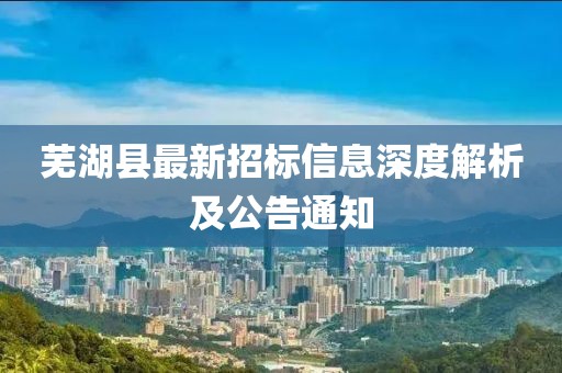 蕪湖縣最新招標(biāo)信息深度解析及公告通知