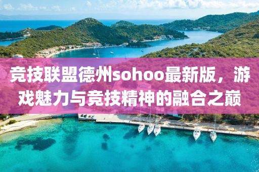 競(jìng)技聯(lián)盟德州sohoo最新版，游戲魅力與競(jìng)技精神的融合之巔