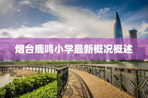 煙臺鹿鳴小學(xué)最新概況概述