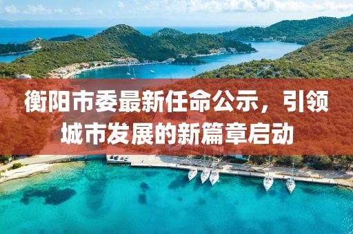 衡陽市委最新任命公示，引領(lǐng)城市發(fā)展的新篇章啟動