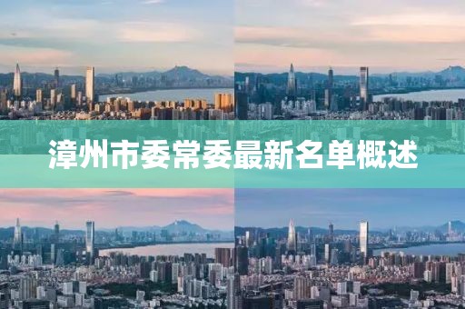 漳州市委常委最新名單概述