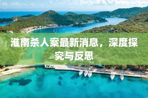 淮南殺人案最新消息，深度探究與反思