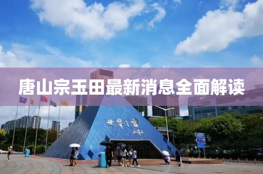唐山宗玉田最新消息全面解讀