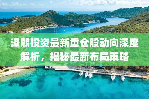 澤熙投資最新重倉股動(dòng)向深度解析，揭秘最新布局策略