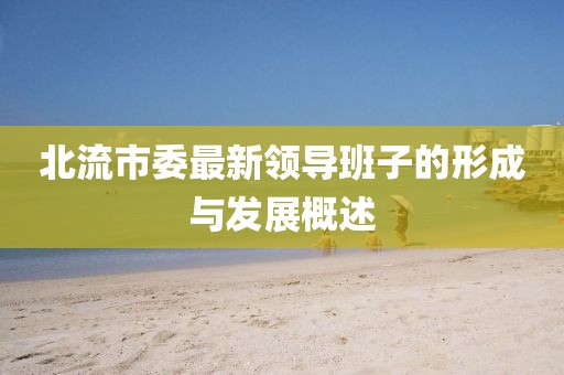 北流市委最新領導班子的形成與發(fā)展概述