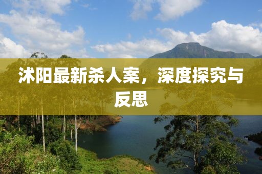 沭陽最新殺人案，深度探究與反思