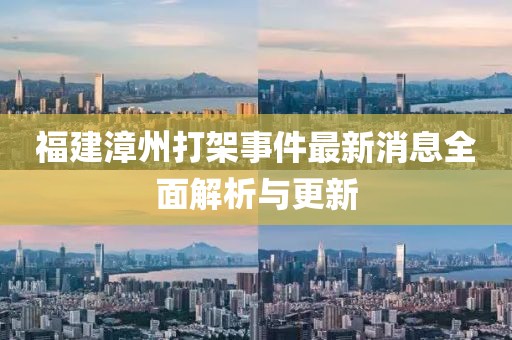 福建漳州打架事件最新消息全面解析與更新