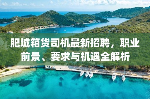 肥城箱貨司機(jī)最新招聘，職業(yè)前景、要求與機(jī)遇全解析