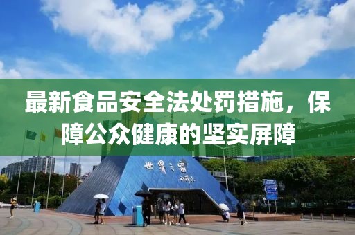 最新食品安全法處罰措施，保障公眾健康的堅實屏障