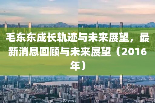 毛東東成長(zhǎng)軌跡與未來(lái)展望，最新消息回顧與未來(lái)展望（2016年）