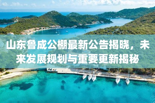 山東魯成公棚最新公告揭曉，未來(lái)發(fā)展規(guī)劃與重要更新揭秘