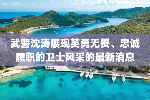 武警沈濤展現(xiàn)英勇無畏、忠誠履職的衛(wèi)士風(fēng)采的最新消息
