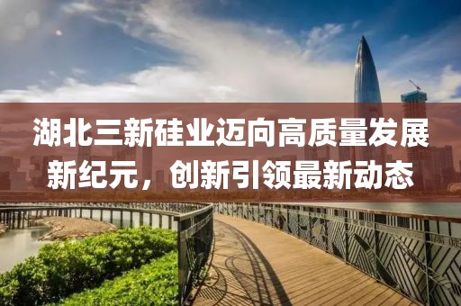 湖北三新硅業(yè)邁向高質(zhì)量發(fā)展新紀(jì)元，創(chuàng)新引領(lǐng)最新動(dòng)態(tài)