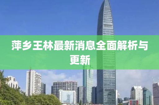 萍鄉(xiāng)王林最新消息全面解析與更新
