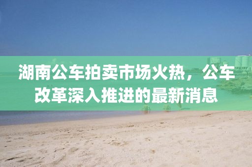 湖南公車拍賣市場(chǎng)火熱，公車改革深入推進(jìn)的最新消息
