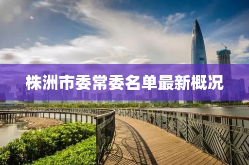 株洲市委常委名單最新概況