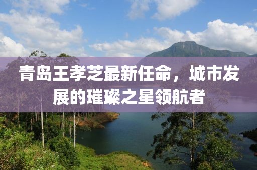 青島王孝芝最新任命，城市發(fā)展的璀璨之星領(lǐng)航者