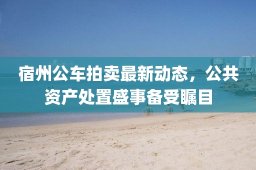 宿州公車拍賣最新動態(tài)，公共資產(chǎn)處置盛事備受矚目