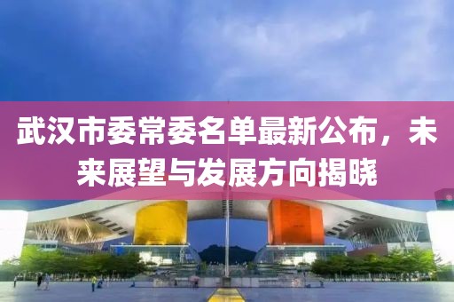 武漢市委常委名單最新公布，未來展望與發(fā)展方向揭曉