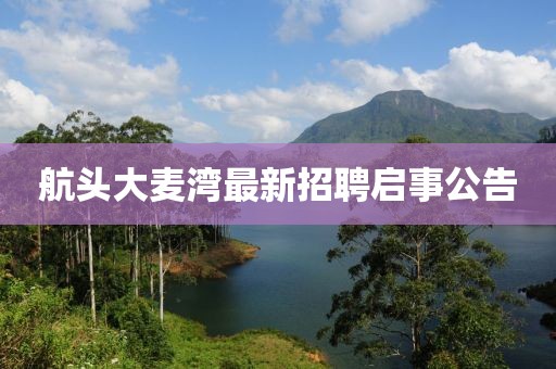 航頭大麥灣最新招聘啟事公告