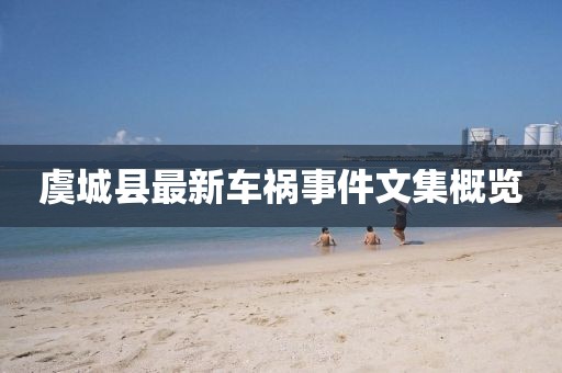 虞城縣最新車禍事件文集概覽