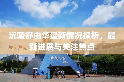 沅陵舒由華最新情況探析，最新進展與關注焦點