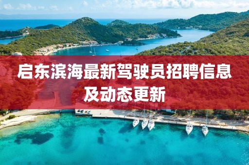啟東濱海最新駕駛員招聘信息及動(dòng)態(tài)更新